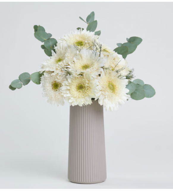 Bej Çizgili Polimer Vazoda Beyaz Gerbera Çiçekleri